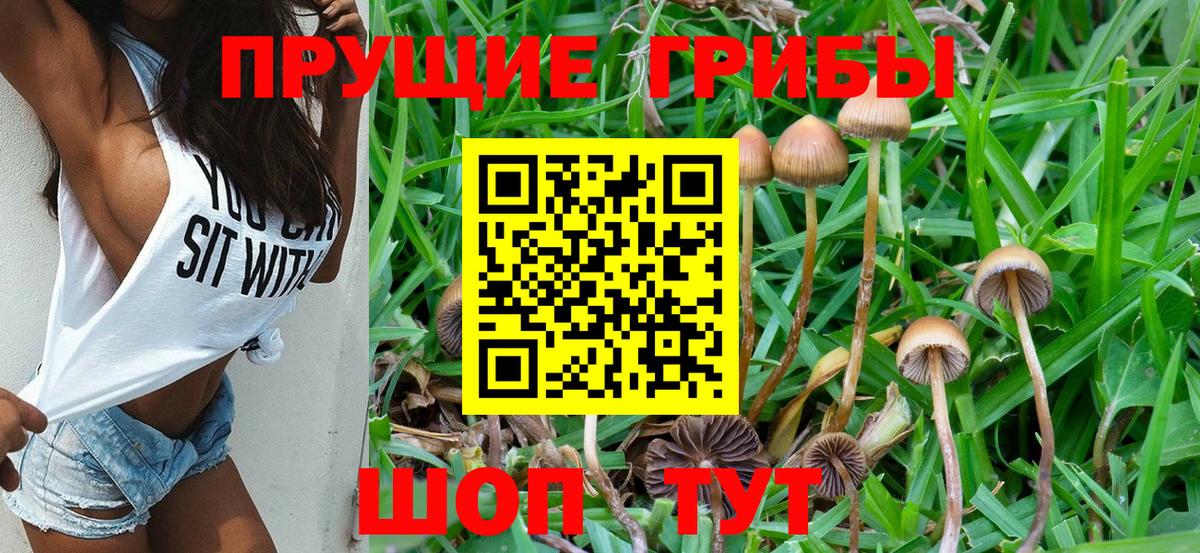 Ливны  Галлюциногенные грибы GOLDEN TEACHER  Вход с VPN 