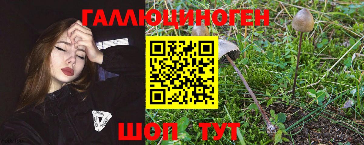 Псилоцибиновые грибы ЛСД Ливны